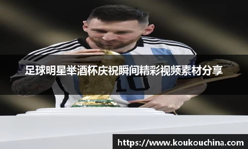 足球明星举酒杯庆祝瞬间精彩视频素材分享